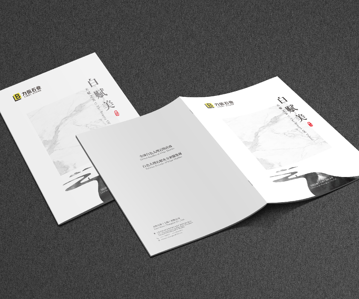 企業宣傳畫冊設計,品牌畫冊設計